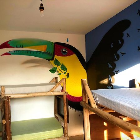 Katsbarnea Hostel フロリアノポリス エクステリア 写真