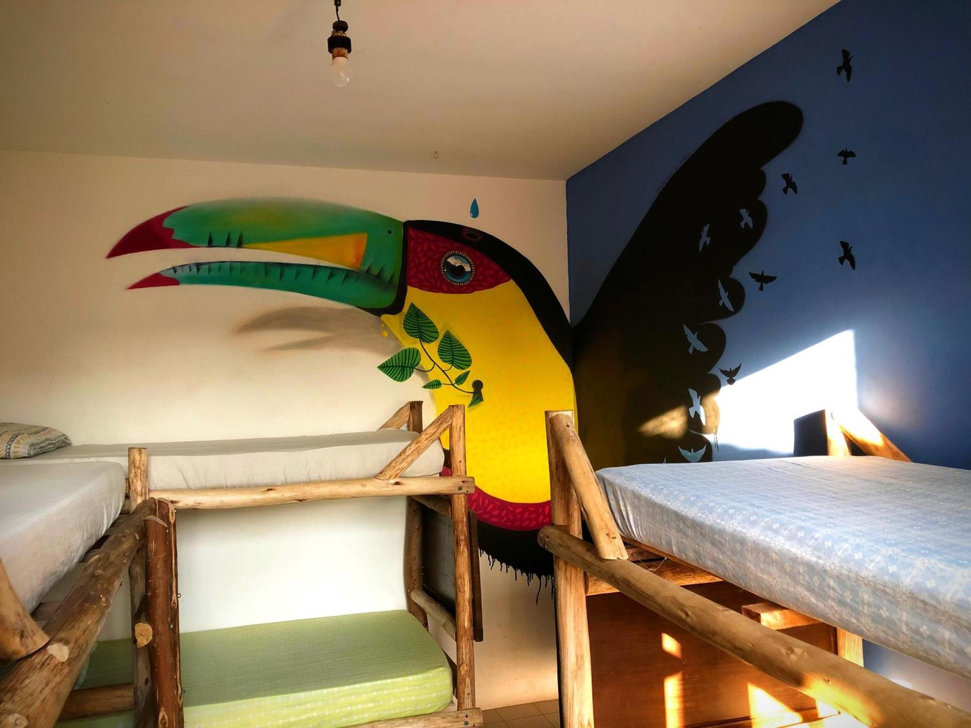 Katsbarnea Hostel フロリアノポリス エクステリア 写真